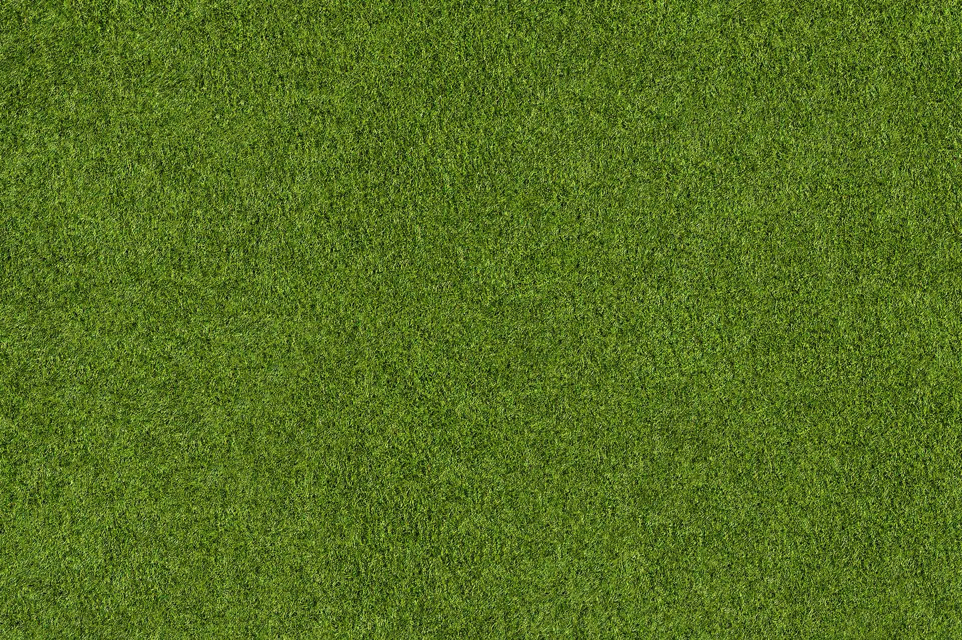 Çim Halılar medyası